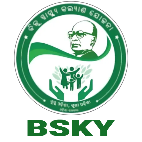 Logo BSKY